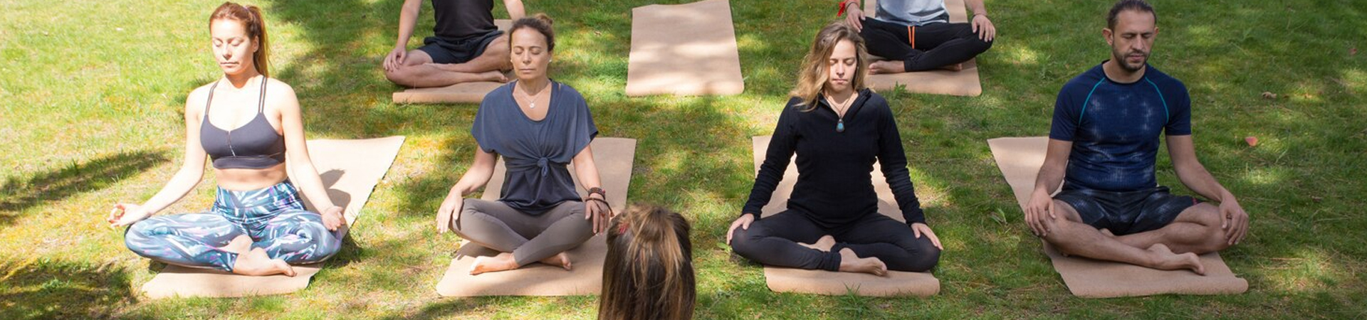 Group & Private Yoga