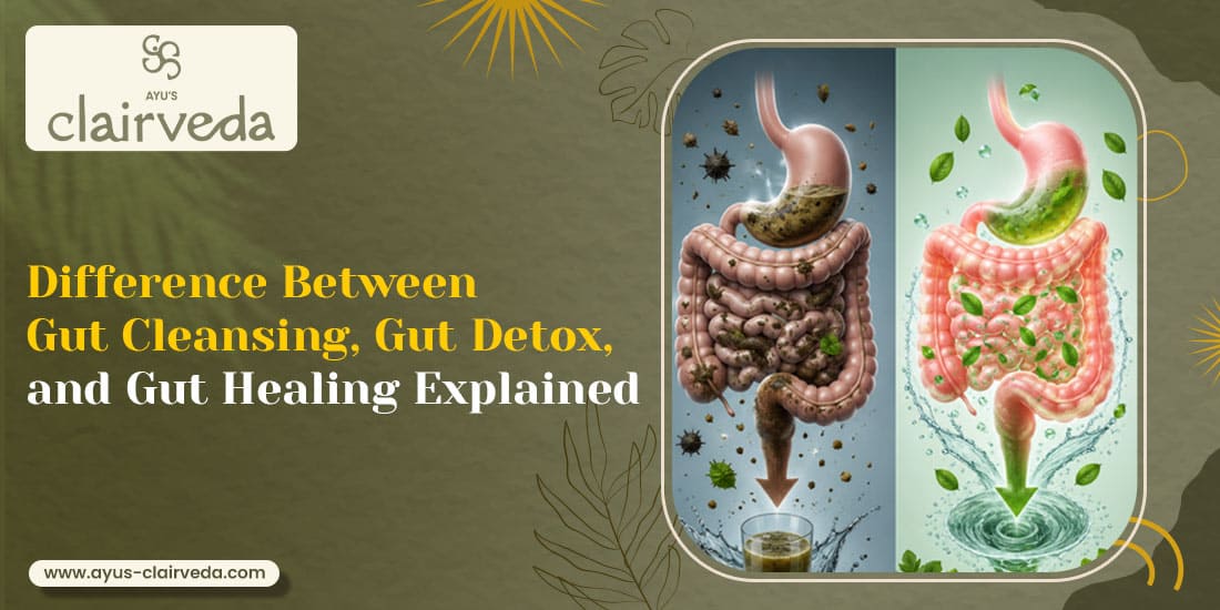 Difference Between Gut Cleansing, Gut Detox, and Gut Healing Explained